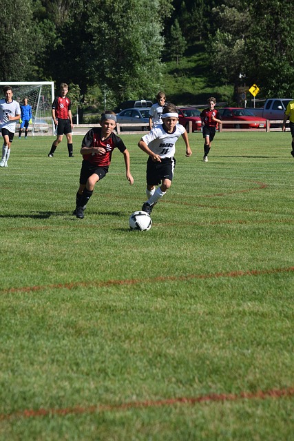 加多样化 加多样化