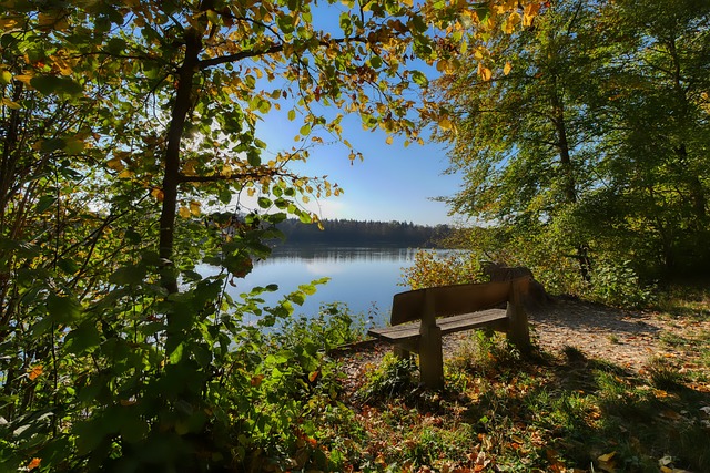 據多家權威 據多家權威
