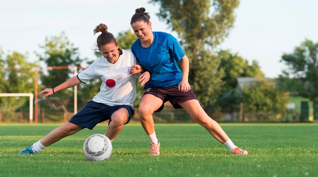 梅方在征战 梅方在征战