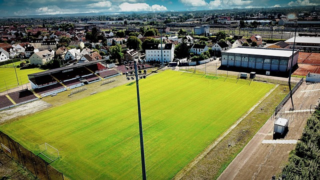 这份支持显 这份支持显